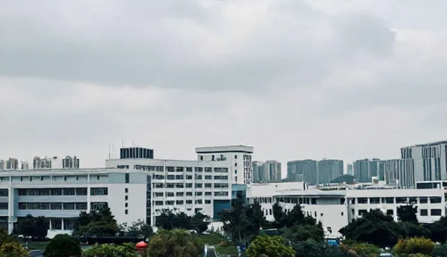 技术选型中的用户体验优化策略